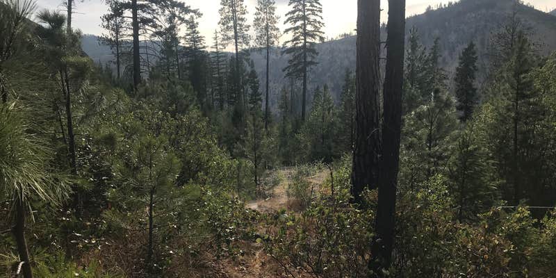 Camper submitted image from Windy Camp Campground