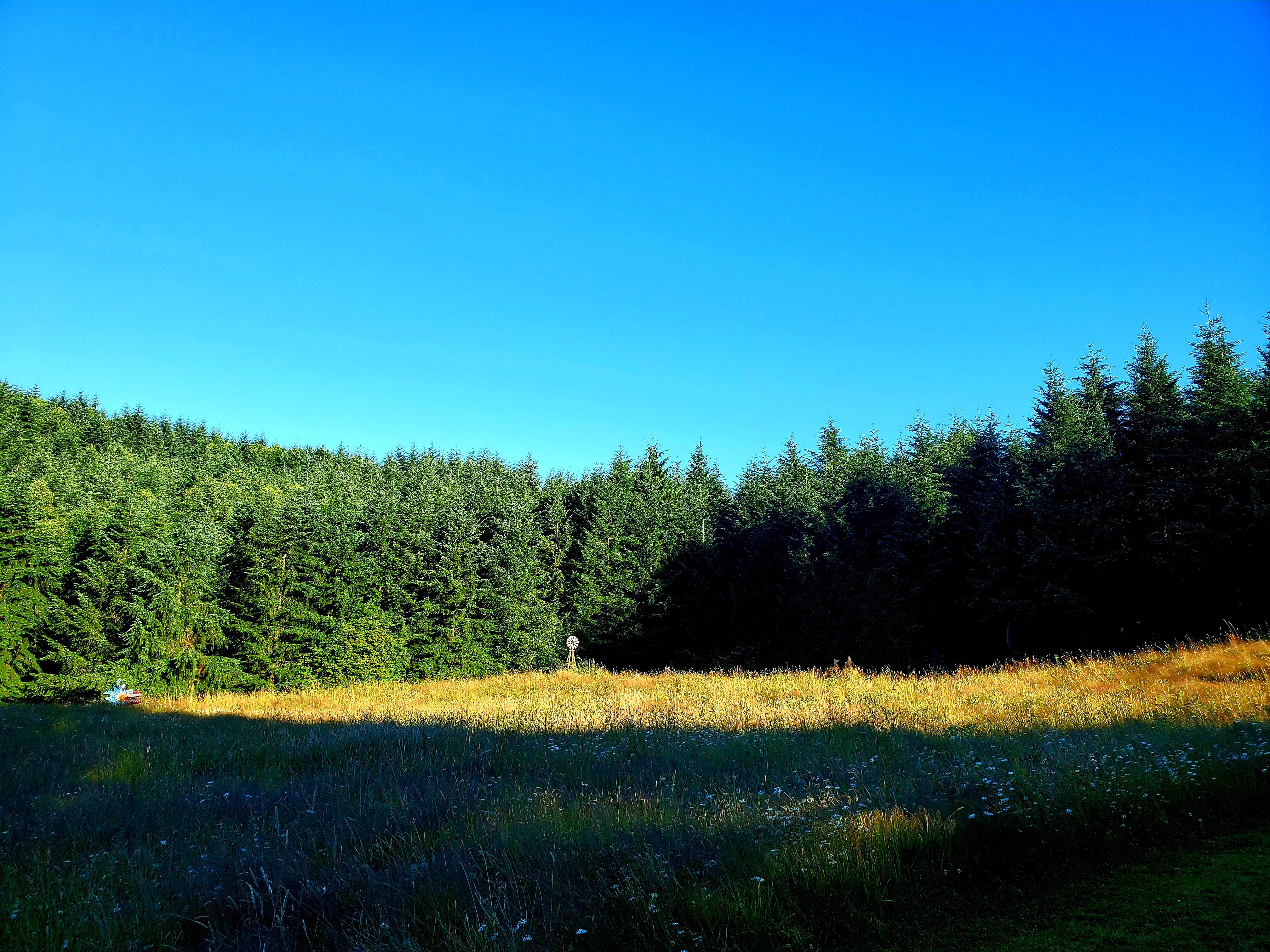 Four Directions Retreat Camping Rainier, OR