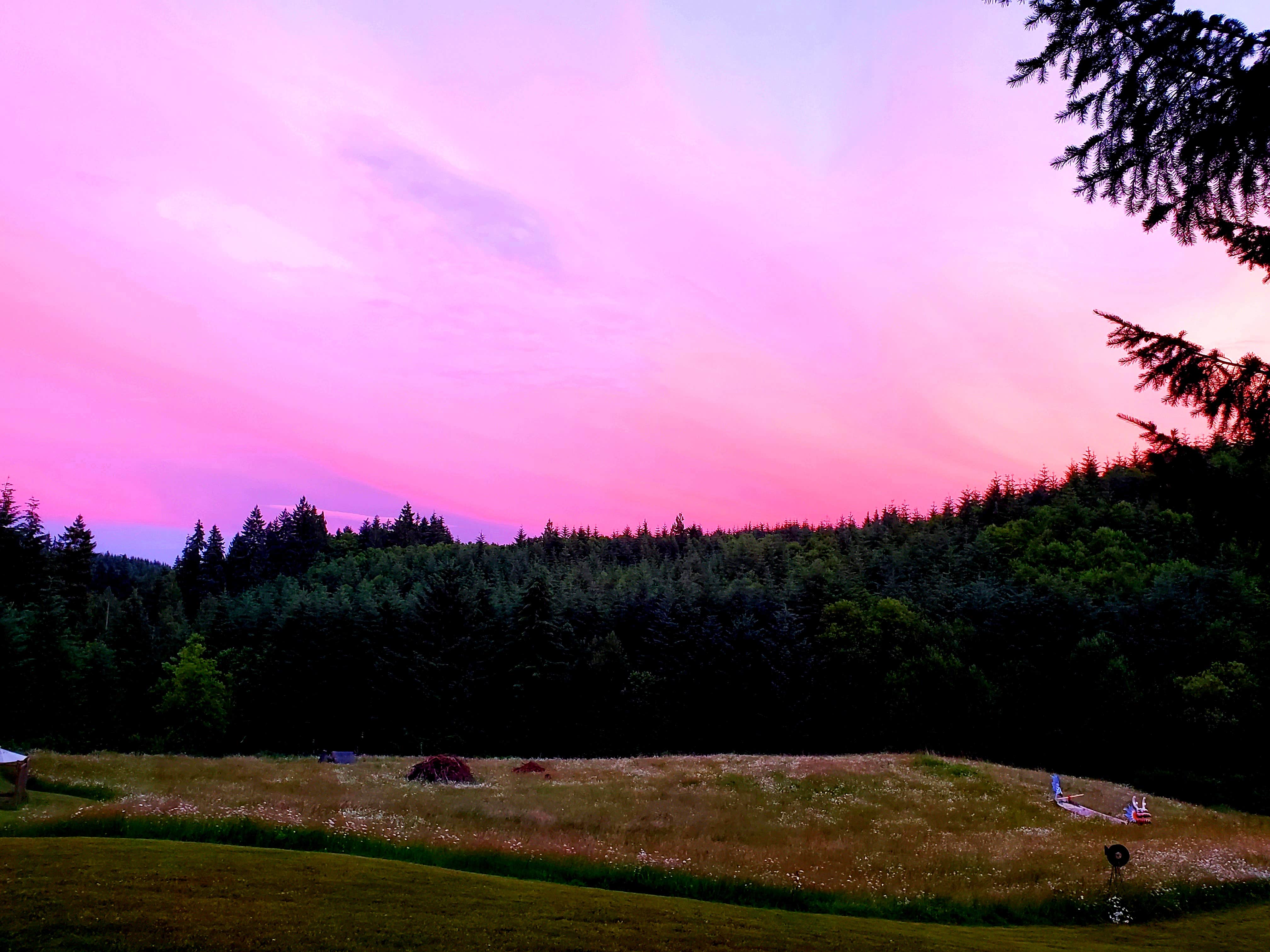 Camper-submitted photo at Four Directions Retreat near Woodland, WA