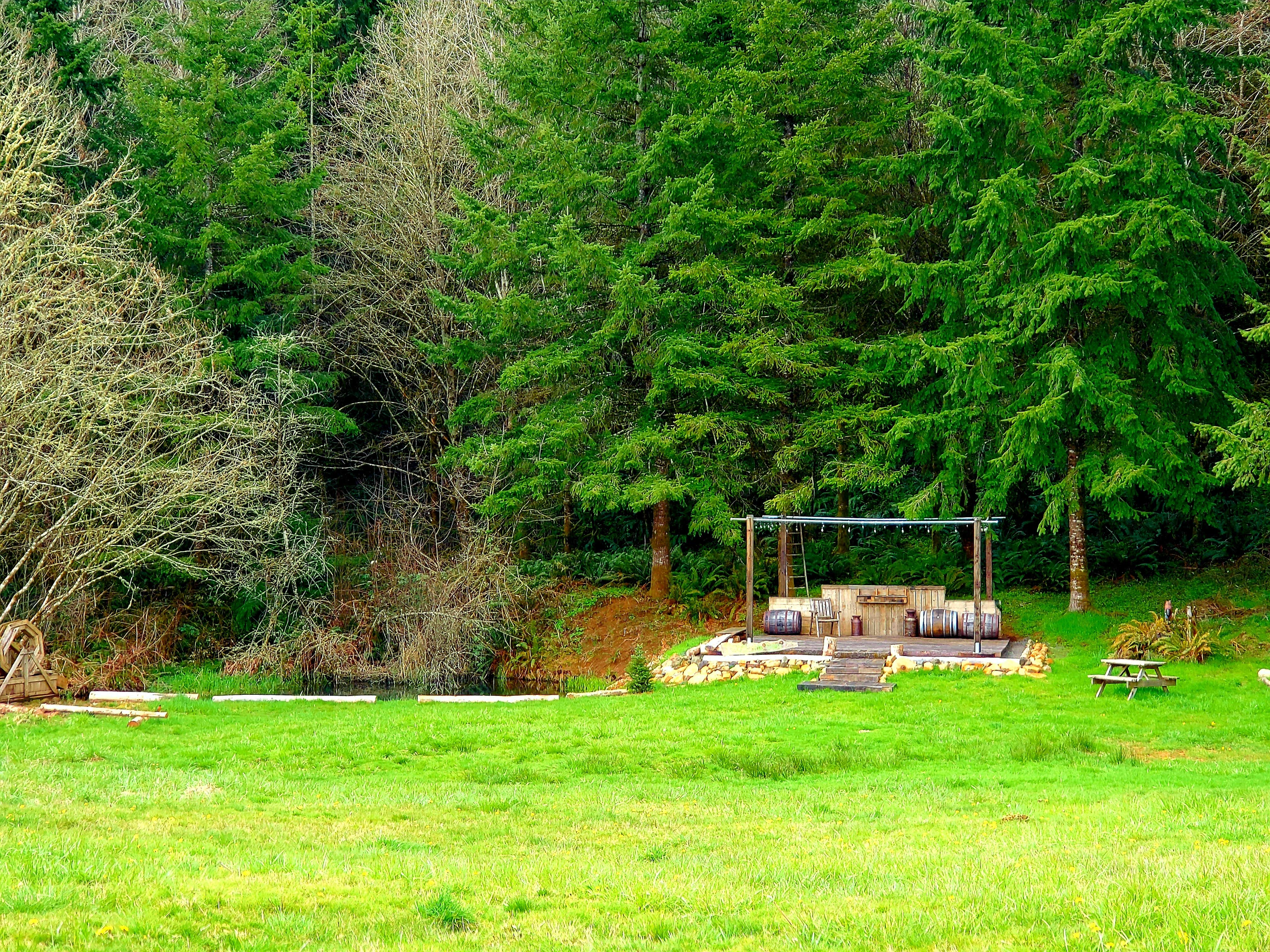 Camper-submitted photo at Four Directions Retreat near Woodland, WA