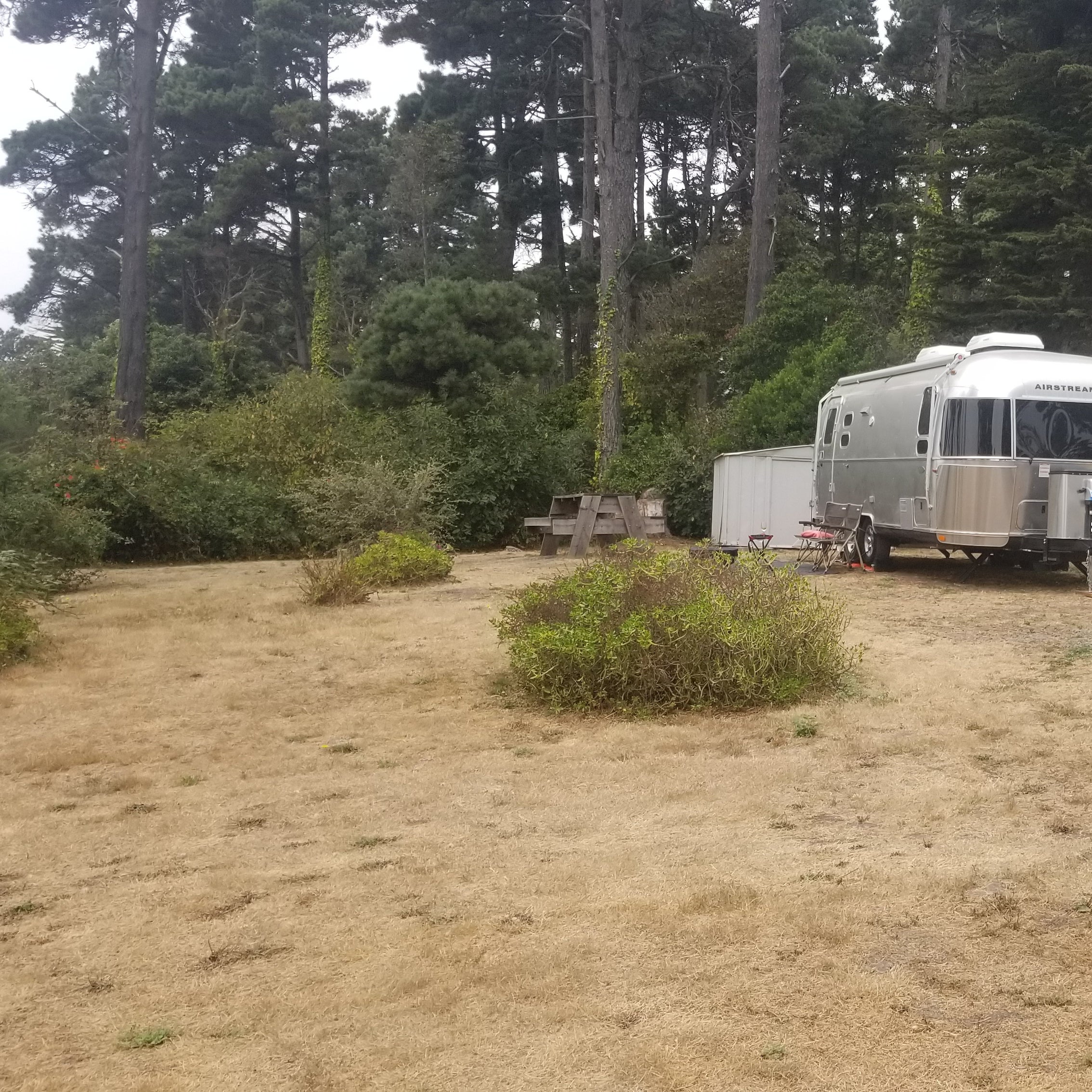 Hidden Pines RV Park & Campground | The Dyrt
