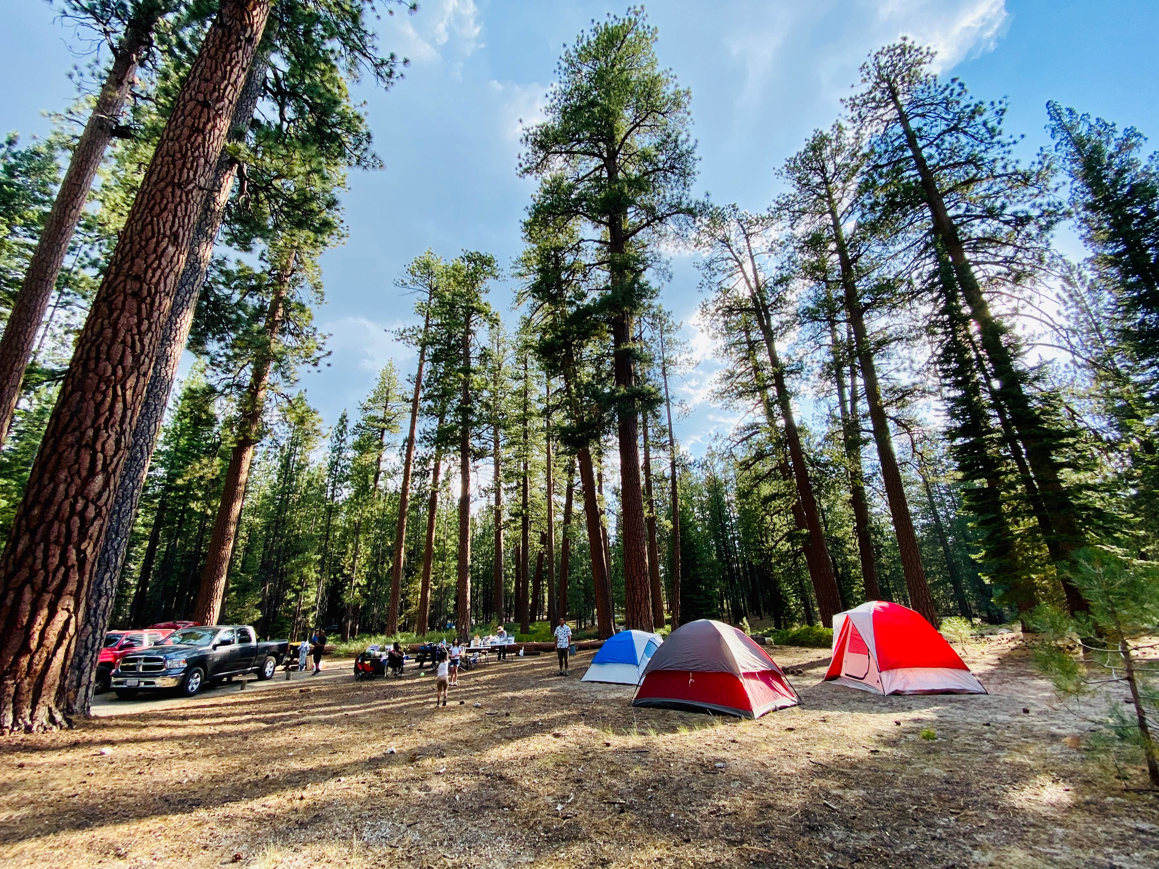 Sameyah M.'s photo at Mono Creek near Mono Hot Springs, CA