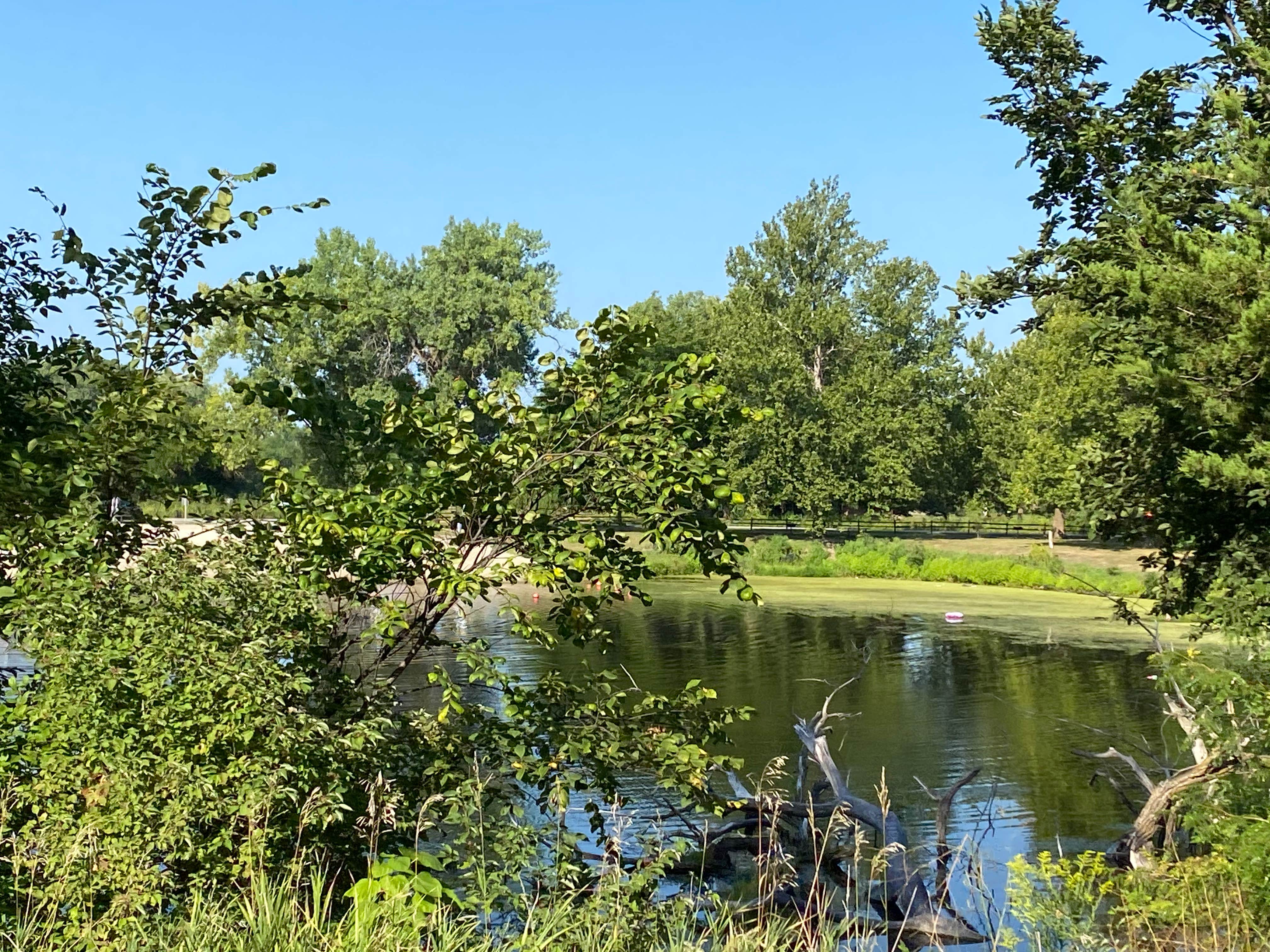 Camper-submitted photo at Goldenrod Campground — Two Rivers SRA near Mineola, IA