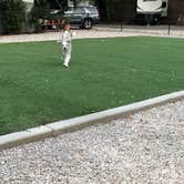 Review photo of Austin Lone Star RV Resort by Shelly W., August 26, 2020