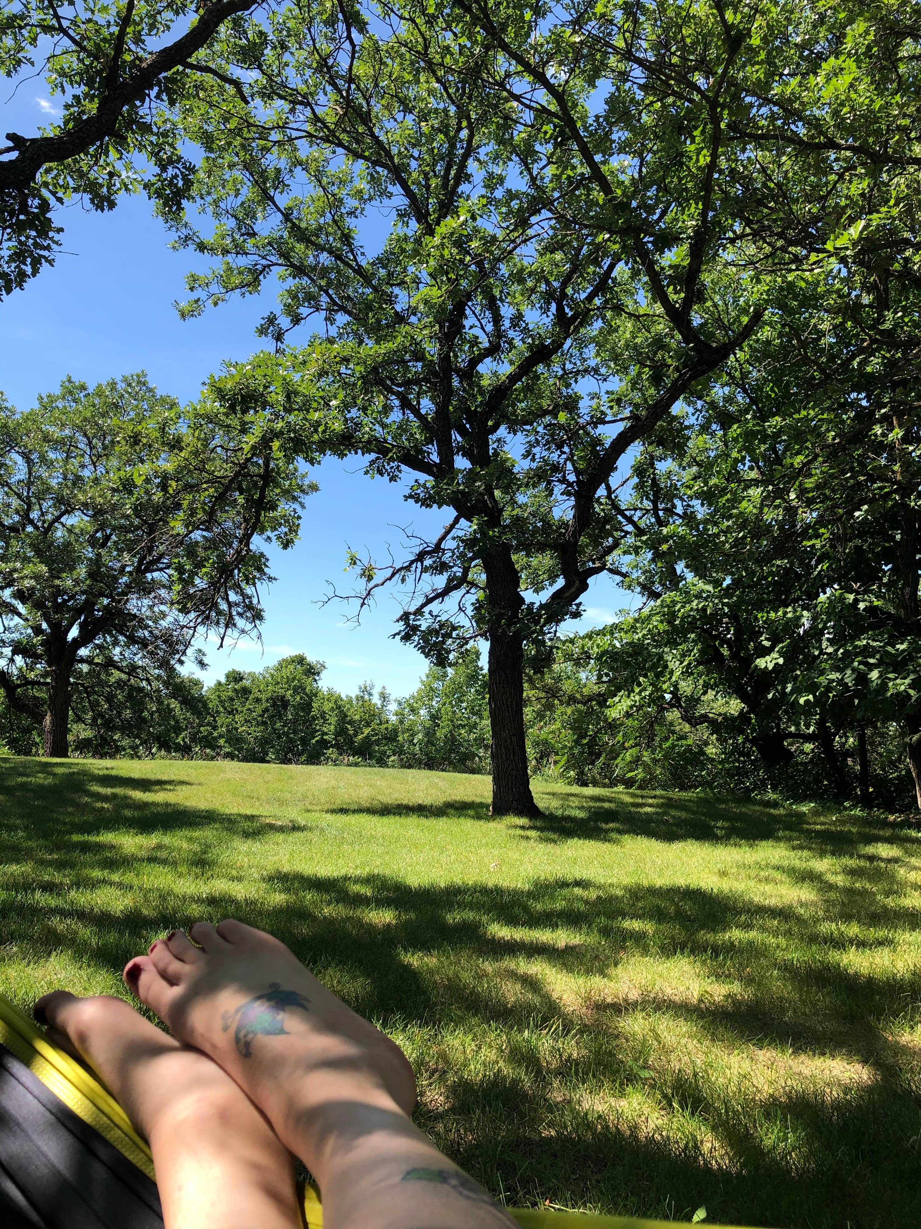 Camper-submitted photo at Icelandic State Park Campground near Homme Lake