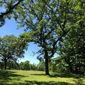 Review photo of Icelandic State Park Campground by Ason S., August 26, 2020