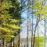 Review photo of Tugaloo State Park Campground by Dana P., May 7, 2018