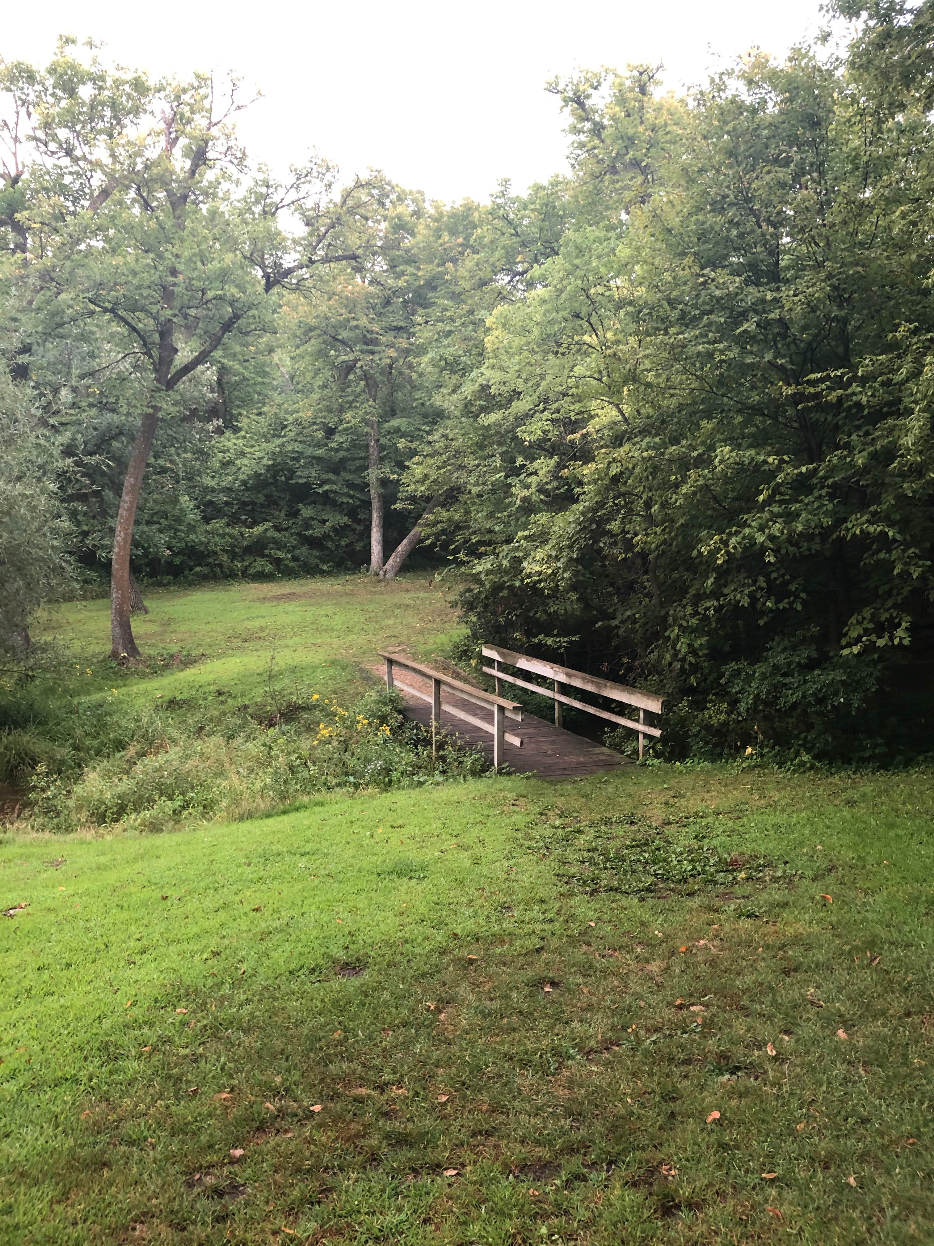 Camper submitted image from Hartford Beach State Park Campground - 5