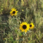 Review photo of Hartford Beach State Park Campground by Ason S., August 26, 2020