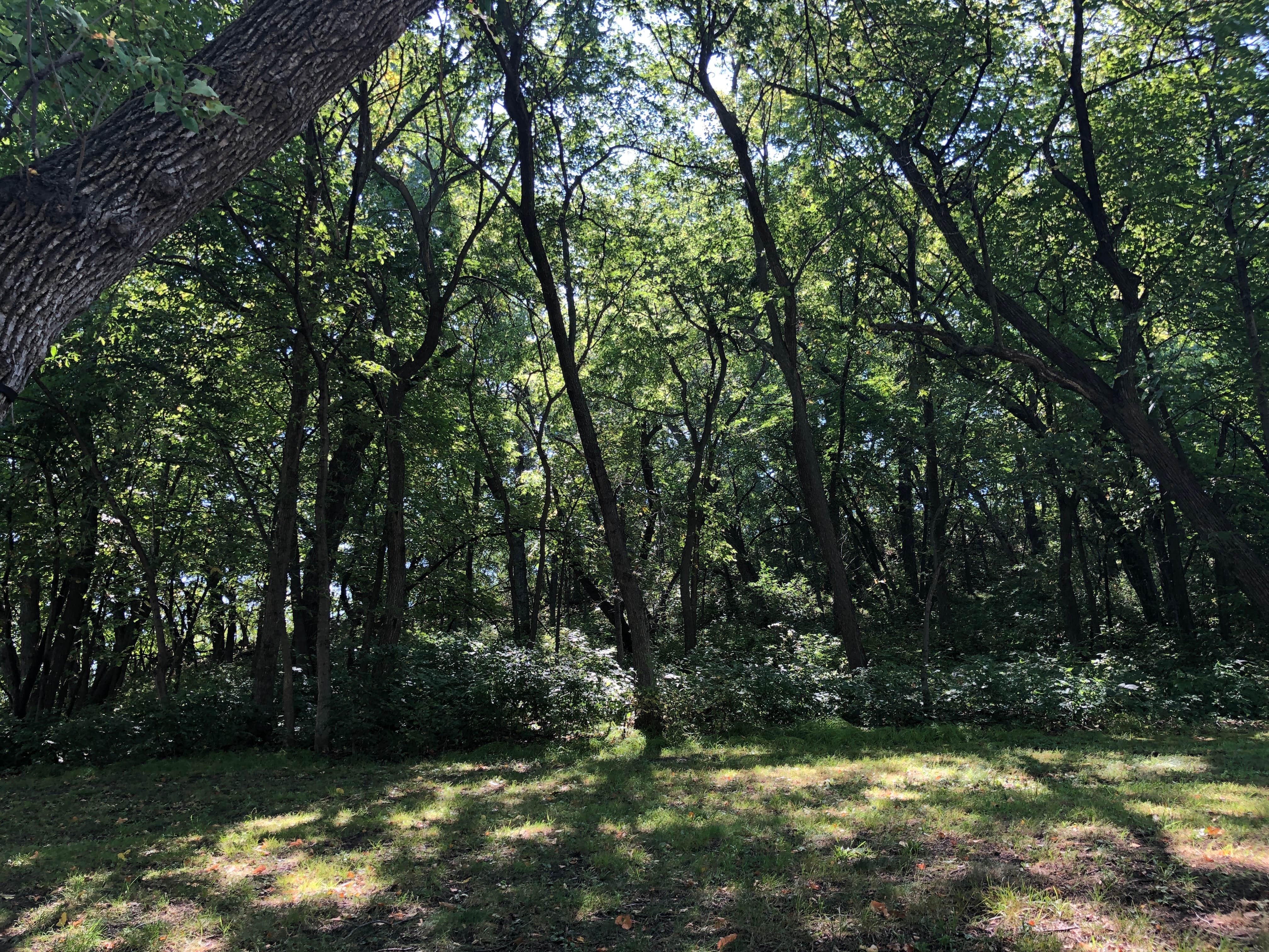 Camper-submitted photo at Hartford Beach State Park Campground near Corona, SD