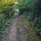 Review photo of Hartford Beach State Park Campground by Ason S., August 26, 2020