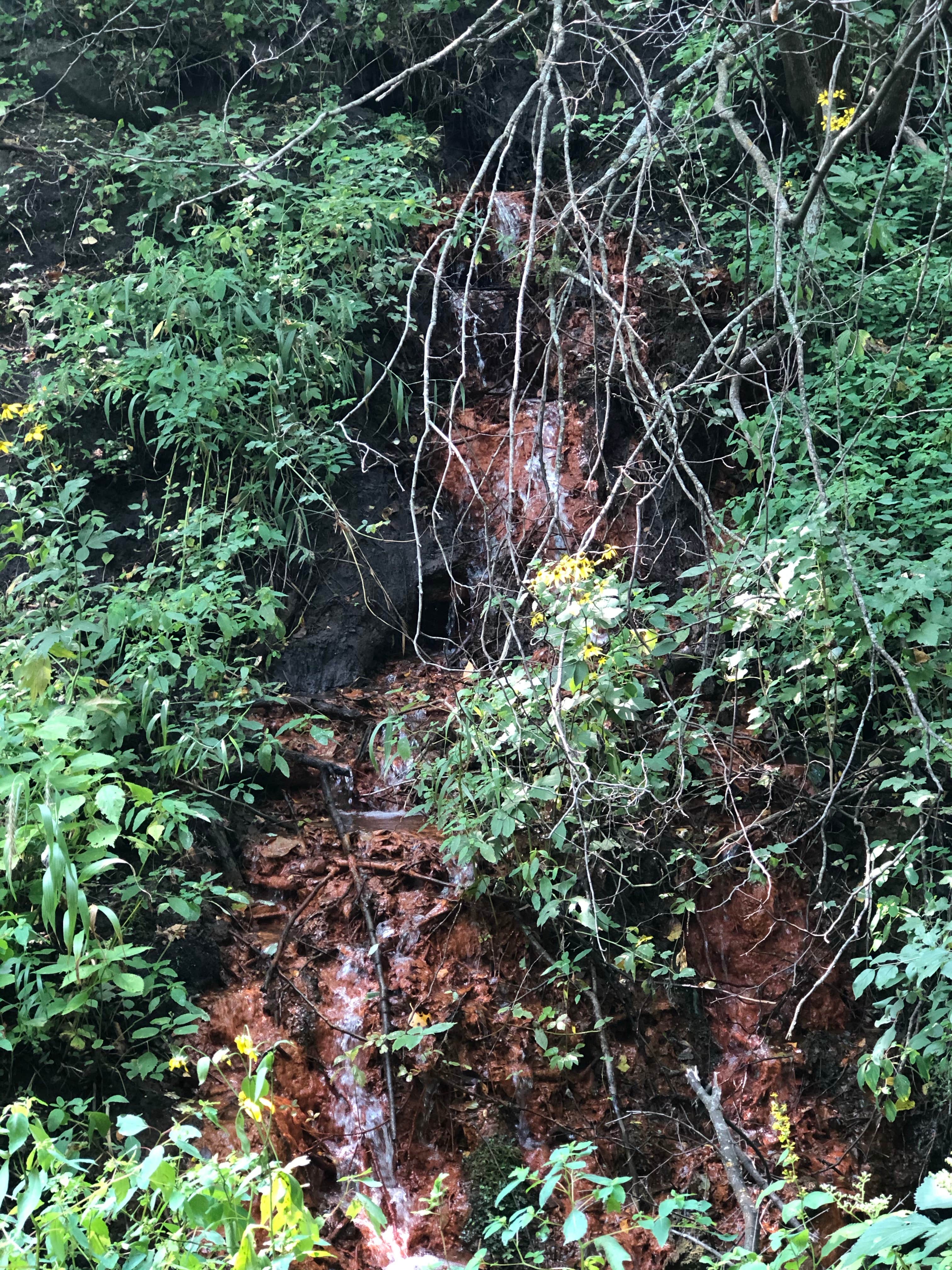 Camper-submitted photo at Hartford Beach State Park Campground near Corona, SD