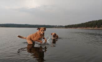 Jordon R.'s photo of camping with pets at Pilcher Creek Reservoir near La Grande, OR
