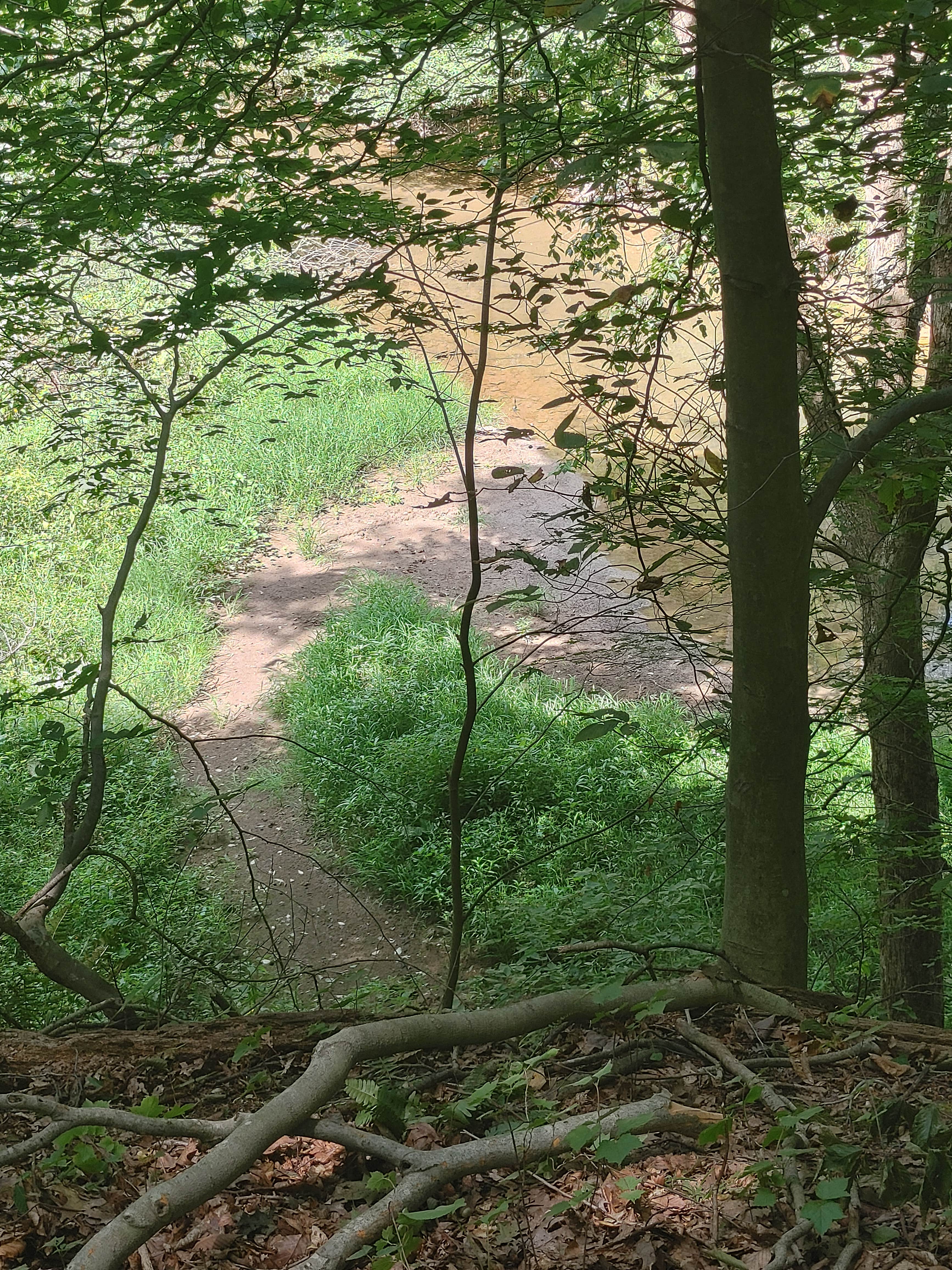 Camper submitted image from Mohican Memorial State Forest Park and Pack Site 1 - 3
