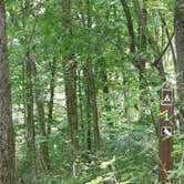 Review photo of Mohican Memorial State Forest Park and Pack Site 1 by Kenpocentaur K., August 26, 2020