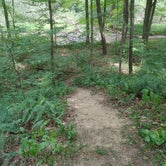 Review photo of Mohican Memorial State Forest Park and Pack Site 1 by Kenpocentaur K., August 26, 2020