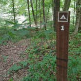 Review photo of Mohican Memorial State Forest Park and Pack Site 1 by Kenpocentaur K., August 26, 2020