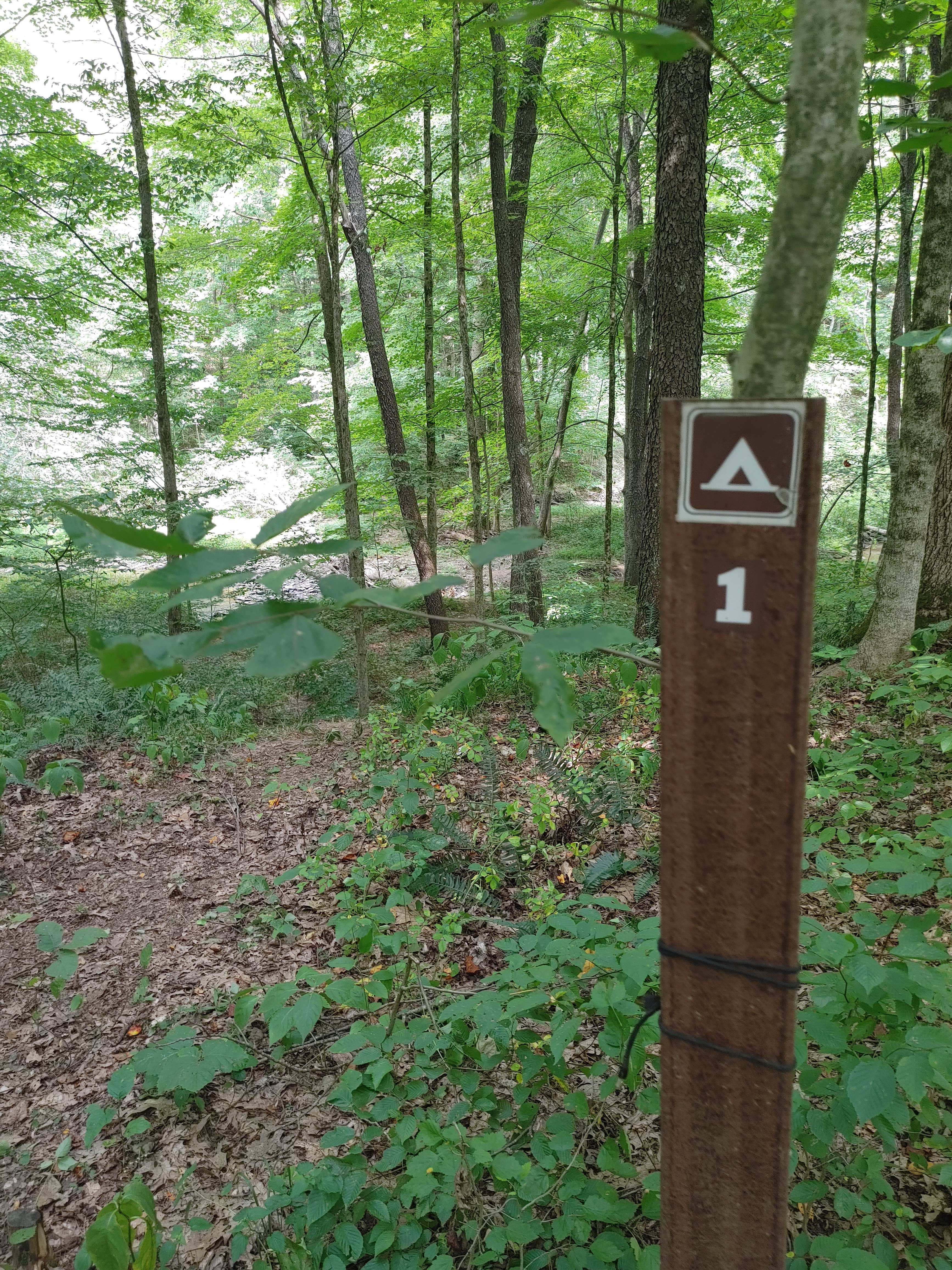 Signs & Maps