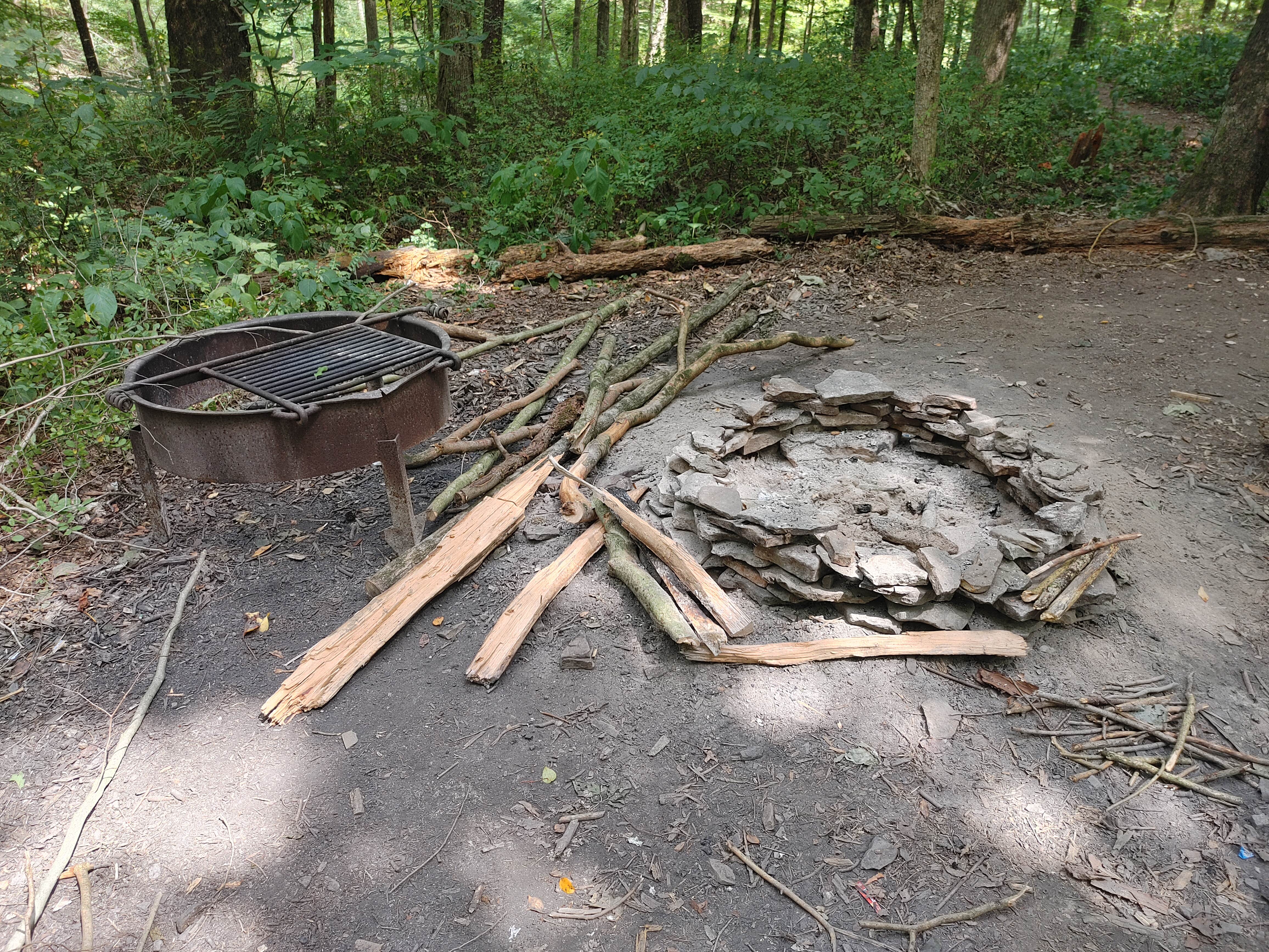 Camping near Charles Mill Lake Park Campground: Mohican Memorial State Forest Park and Pack Site 1, Loudonville, Ohio