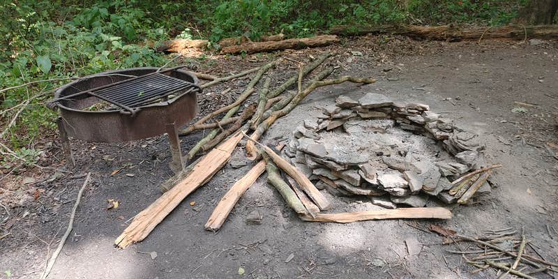 Camper submitted image from Mohican Memorial State Forest Park and Pack Site 1