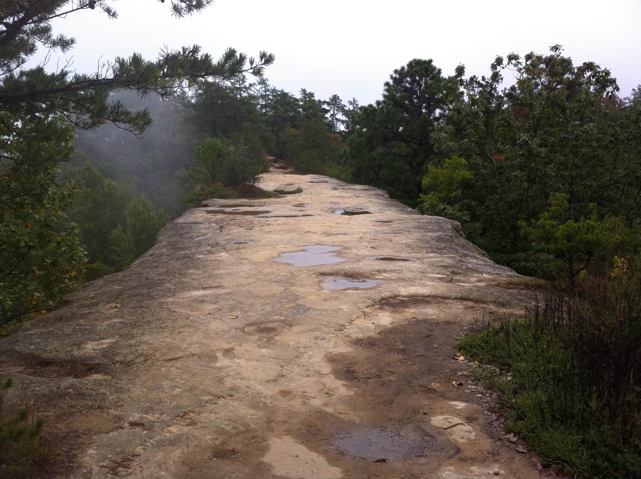 Camper submitted image from Whittleton Campground — Natural Bridge State Resort Park - 5