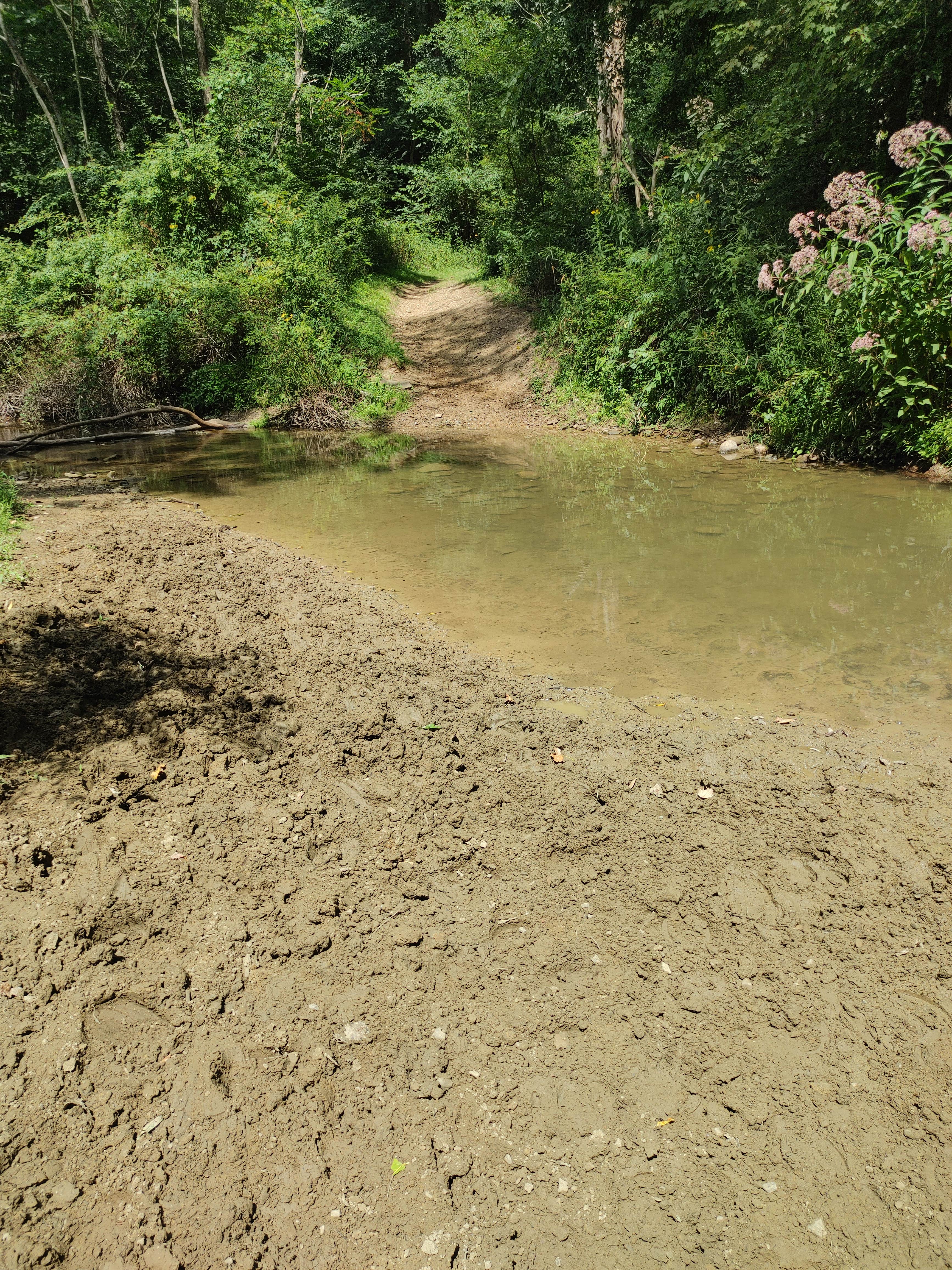 Camper-submitted photo at Mohican Memorial State Forest Park and Pack Site 1 near New London, OH