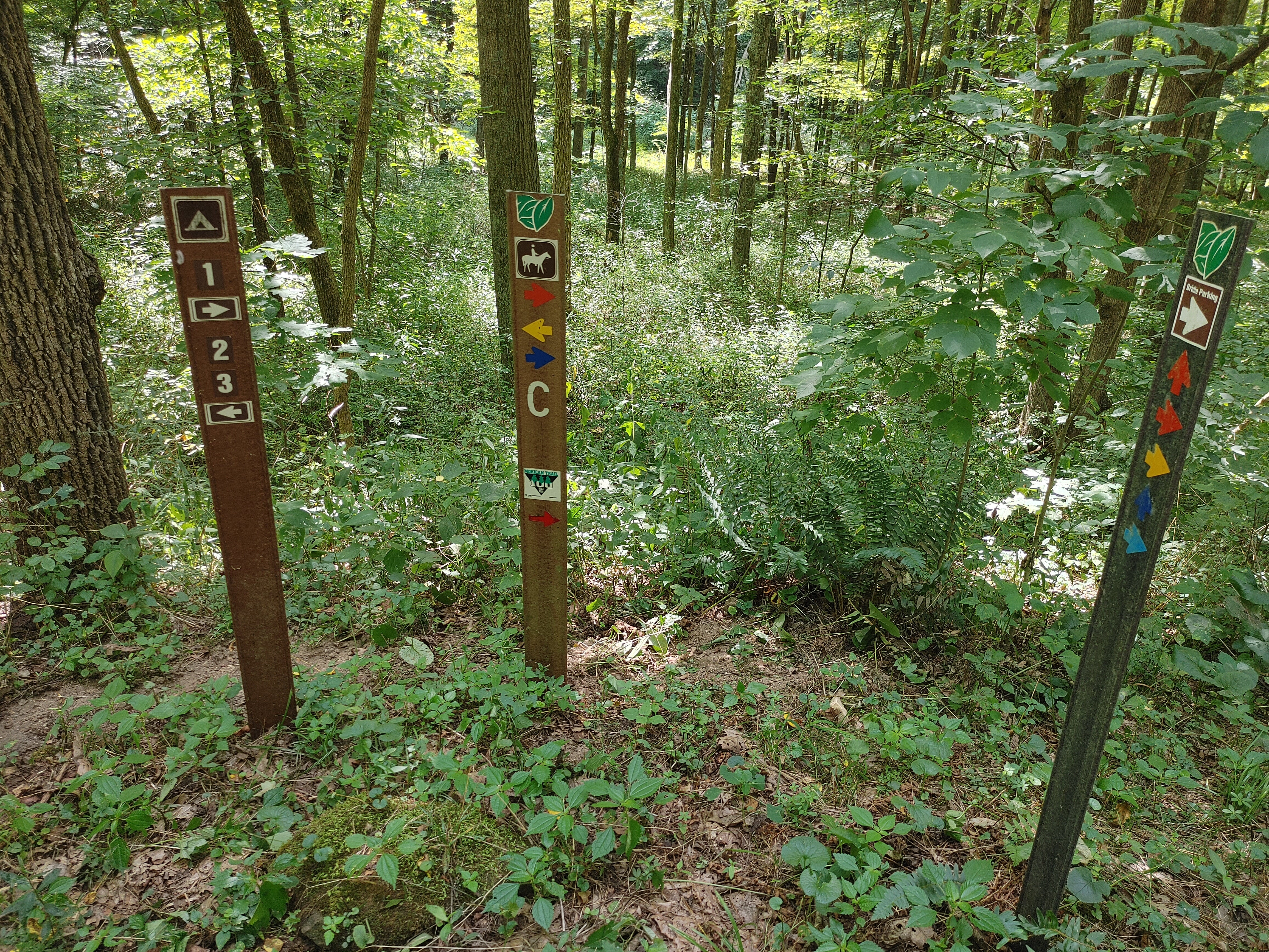 This is why I told you to download the various trails as the colors can get confusing. It is well marked but we still had an adventure due to some details being left out such as what certain letters mean on the photo of another Mohican map that I took earlier vs the provided paper map at the trail head.