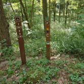 Review photo of Mohican Memorial State Forest Park and Pack Site 1 by Kenpocentaur K., August 26, 2020