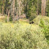 Review photo of Roaring Fork Campground by Matt M., August 26, 2020