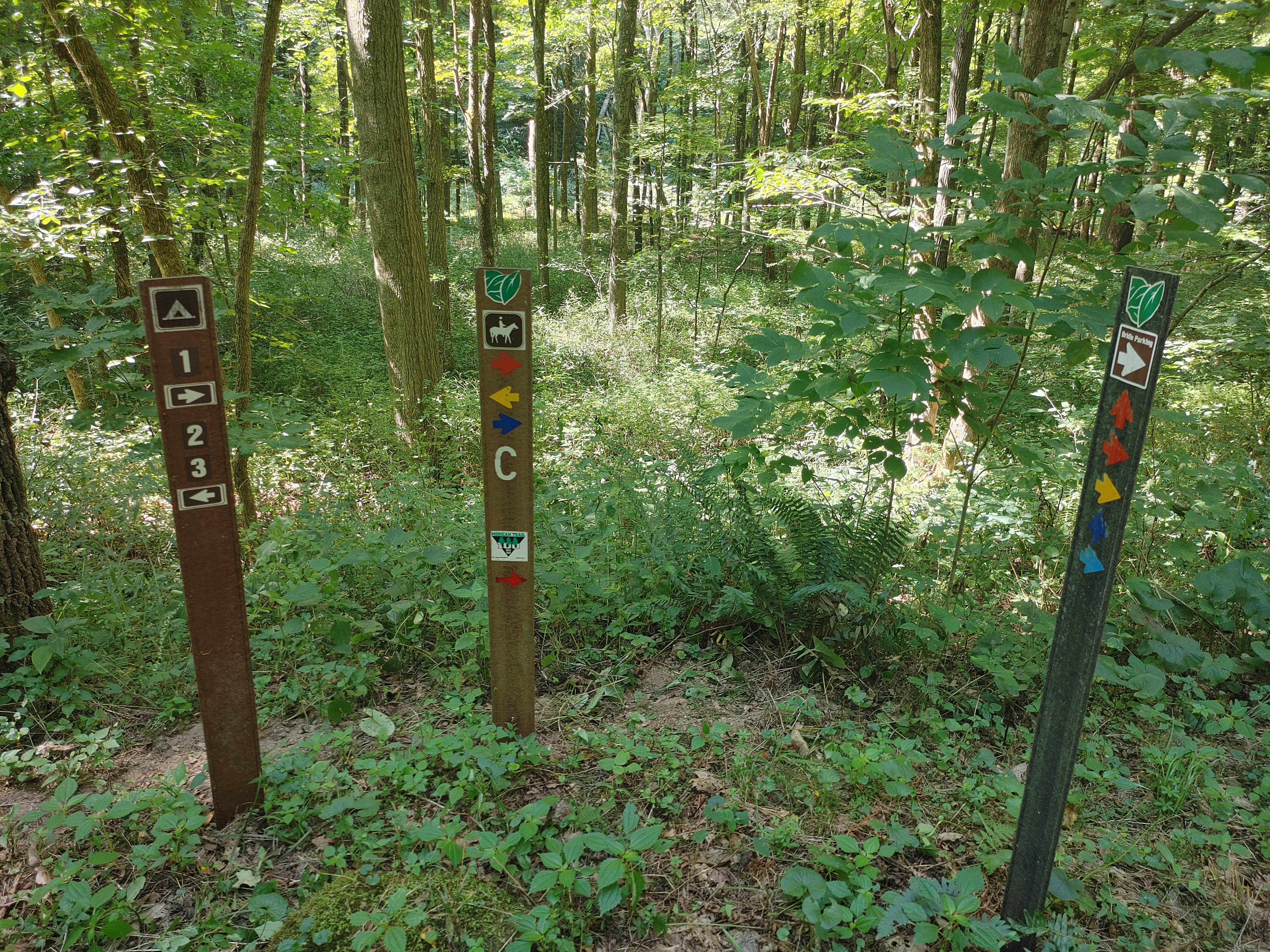 Camper submitted image from Mohican State Park Campground - 2
