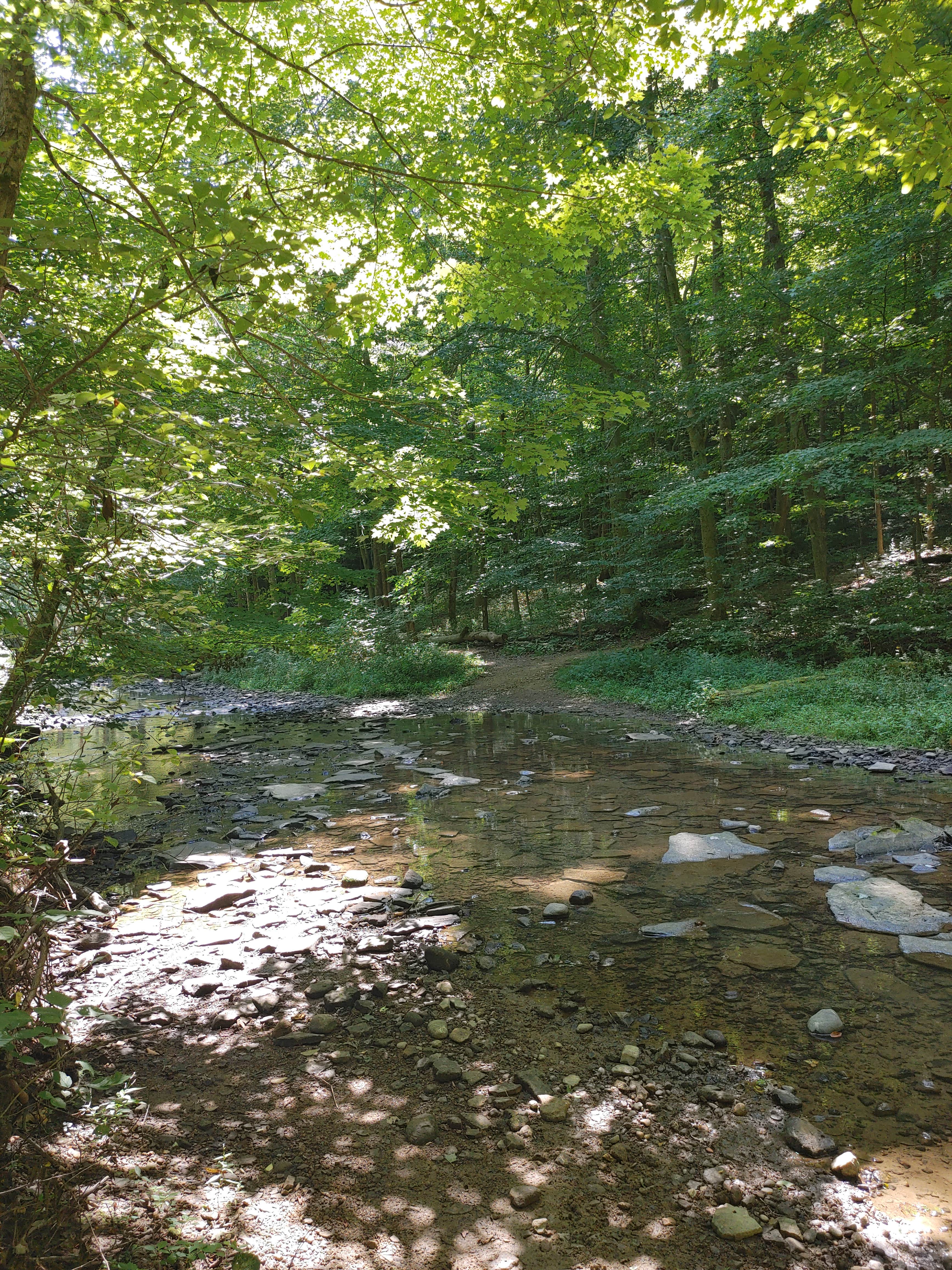 Camper-submitted photo at Mohican State Park Campground near Danville, OH