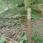 Review photo of Mohican State Park Campground by Kenpocentaur K., August 26, 2020