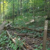 Review photo of Mohican State Park Campground by Kenpocentaur K., August 26, 2020