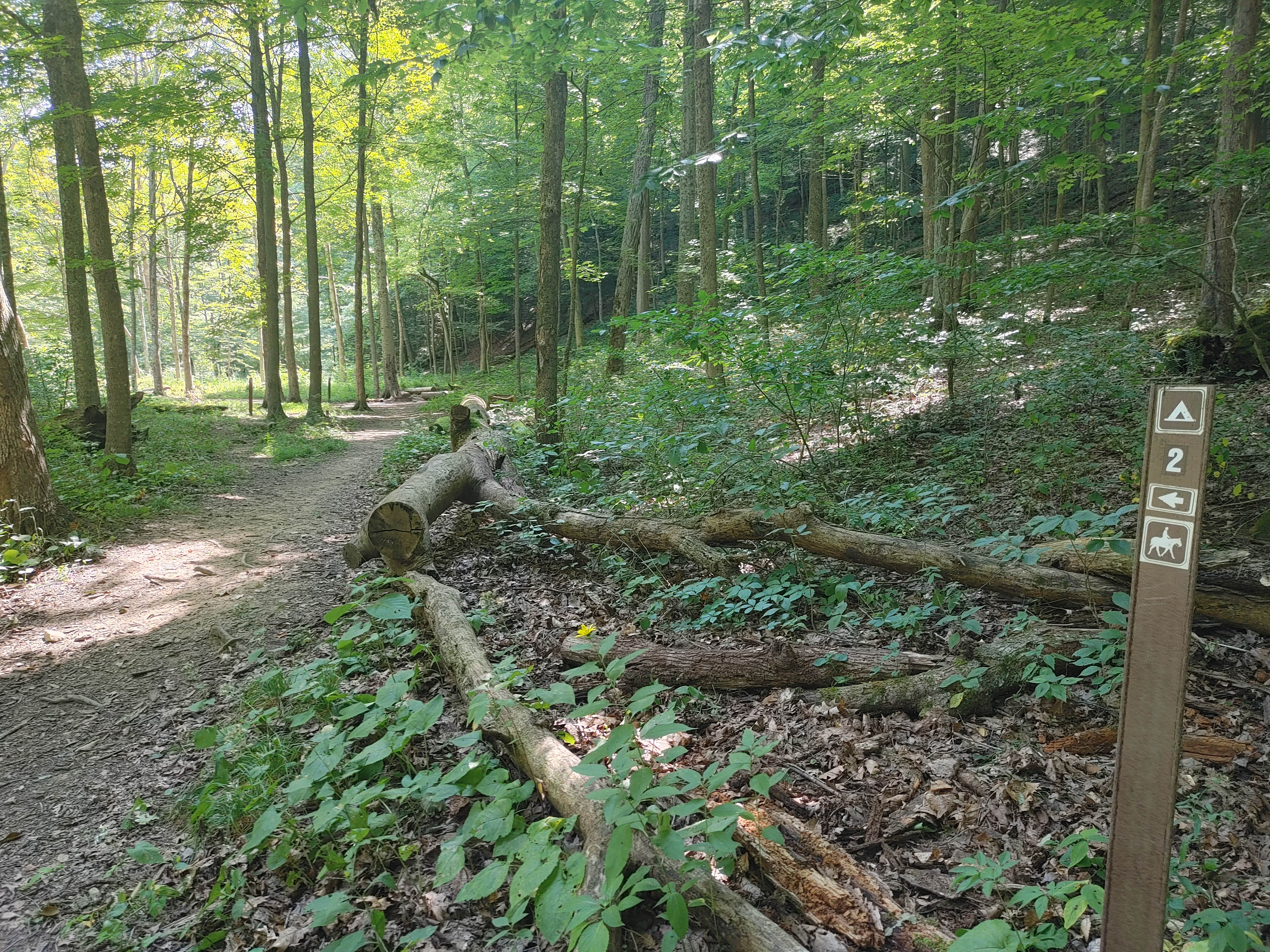 Camper submitted image from Mohican State Park Campground - 2