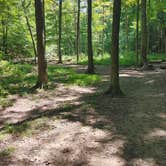 Review photo of Mohican State Park Campground by Kenpocentaur K., August 26, 2020