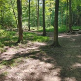 Review photo of Mohican State Park Campground by Kenpocentaur K., August 26, 2020