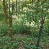 Review photo of Mohican Memorial Forest (Park and Pack Campsite 3) by Kenpocentaur K., August 26, 2020