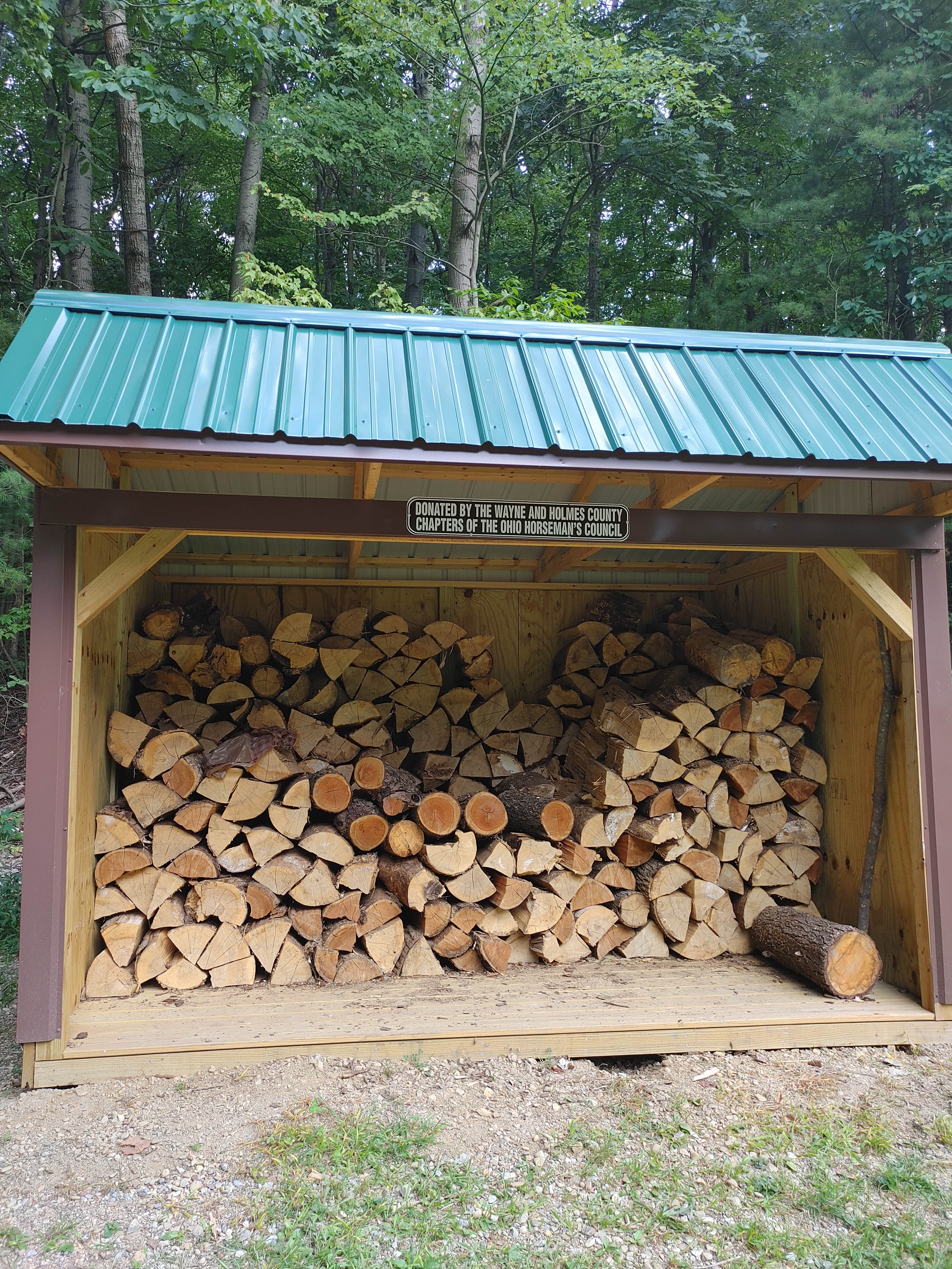 Camper submitted image from Park and Pack Campsite 3 — Mohican-Memorial State Forest - 5