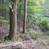 Review photo of Park and Pack Campsite 3 — Mohican-Memorial State Forest by Kenpocentaur K., August 26, 2020