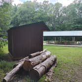 Review photo of Park and Pack Campsite 3 — Mohican-Memorial State Forest by Kenpocentaur K., August 26, 2020