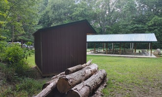 Mohican Memorial Forest (Park and Pack Campsite 3) 