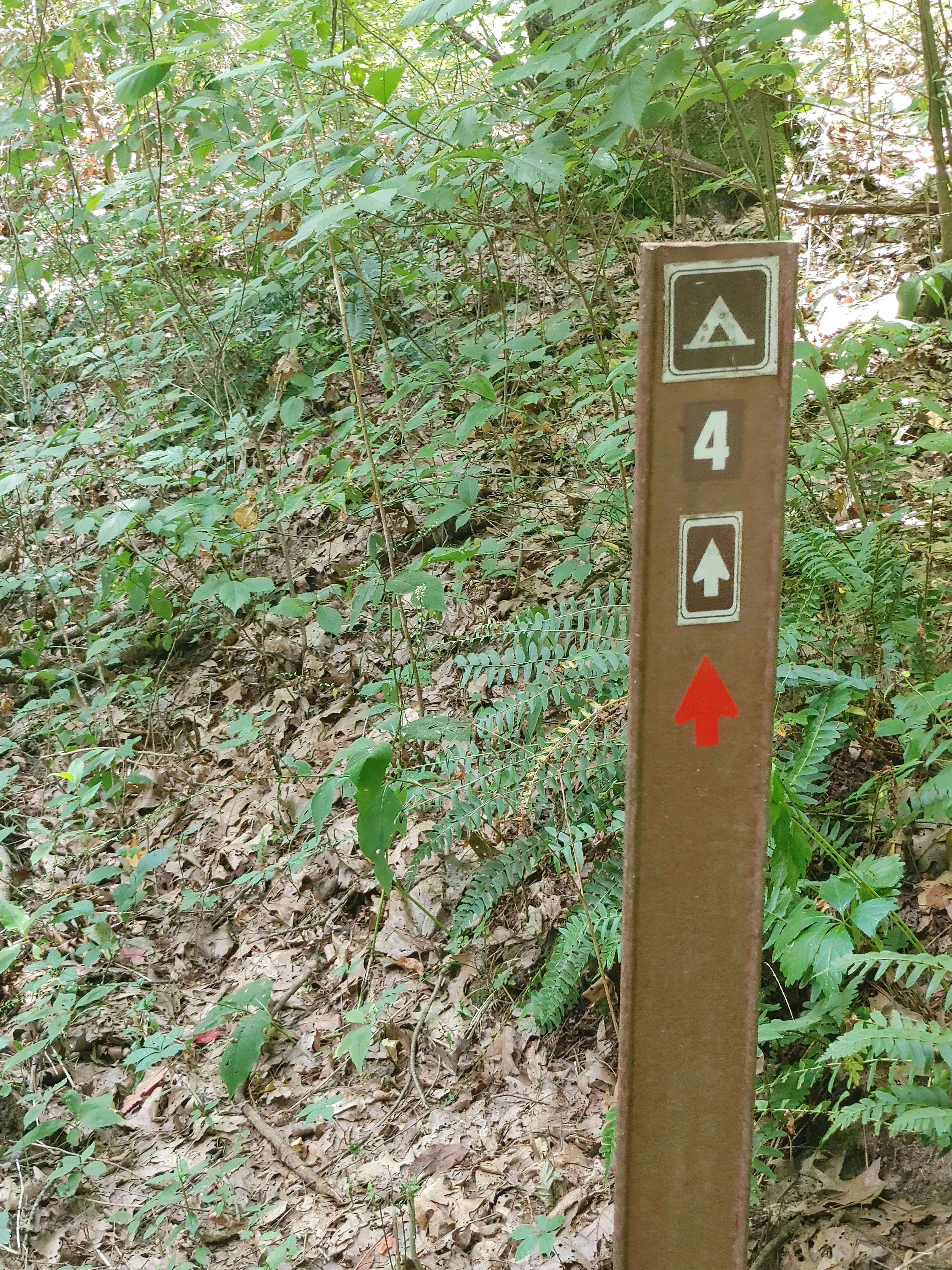 Camper-submitted photo at Park and Pack Campsite 3 — Mohican-Memorial State Forest near New London, OH