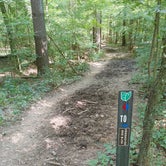 Review photo of Park and Pack Campsite 3 — Mohican-Memorial State Forest by Kenpocentaur K., August 26, 2020