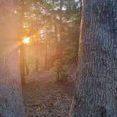 Review photo of Park and Pack Campsite 3 — Mohican-Memorial State Forest by Kenpocentaur K., August 26, 2020