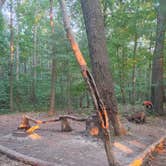 Review photo of Park and Pack Campsite 3 — Mohican-Memorial State Forest by Kenpocentaur K., August 26, 2020