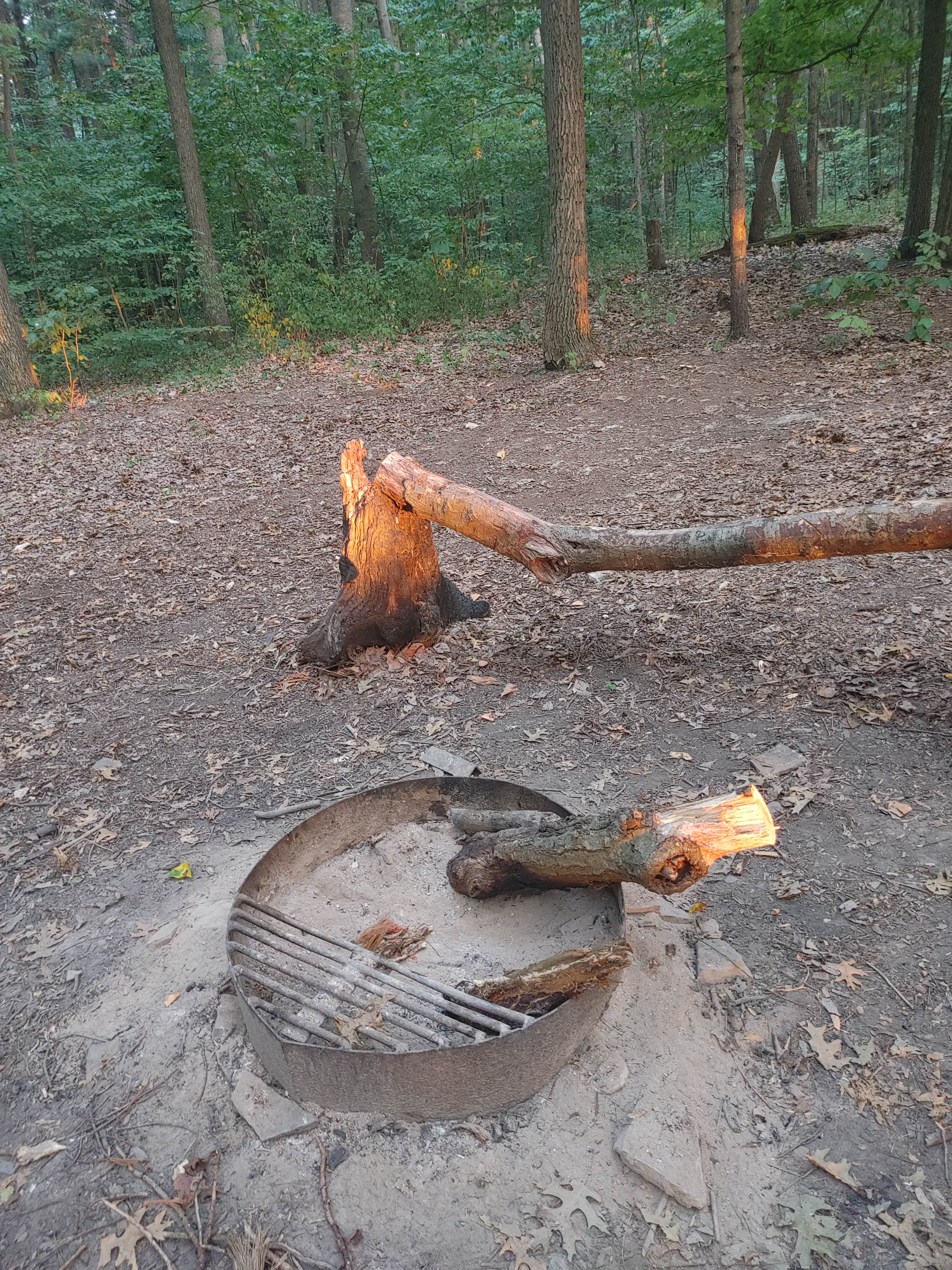 Camper-submitted photo at Park and Pack Campsite 3 — Mohican-Memorial State Forest near New London, OH