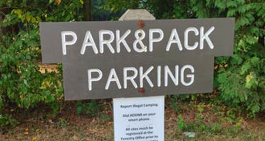 Mohican Memorial Forest (Park and Pack Campsite 3)