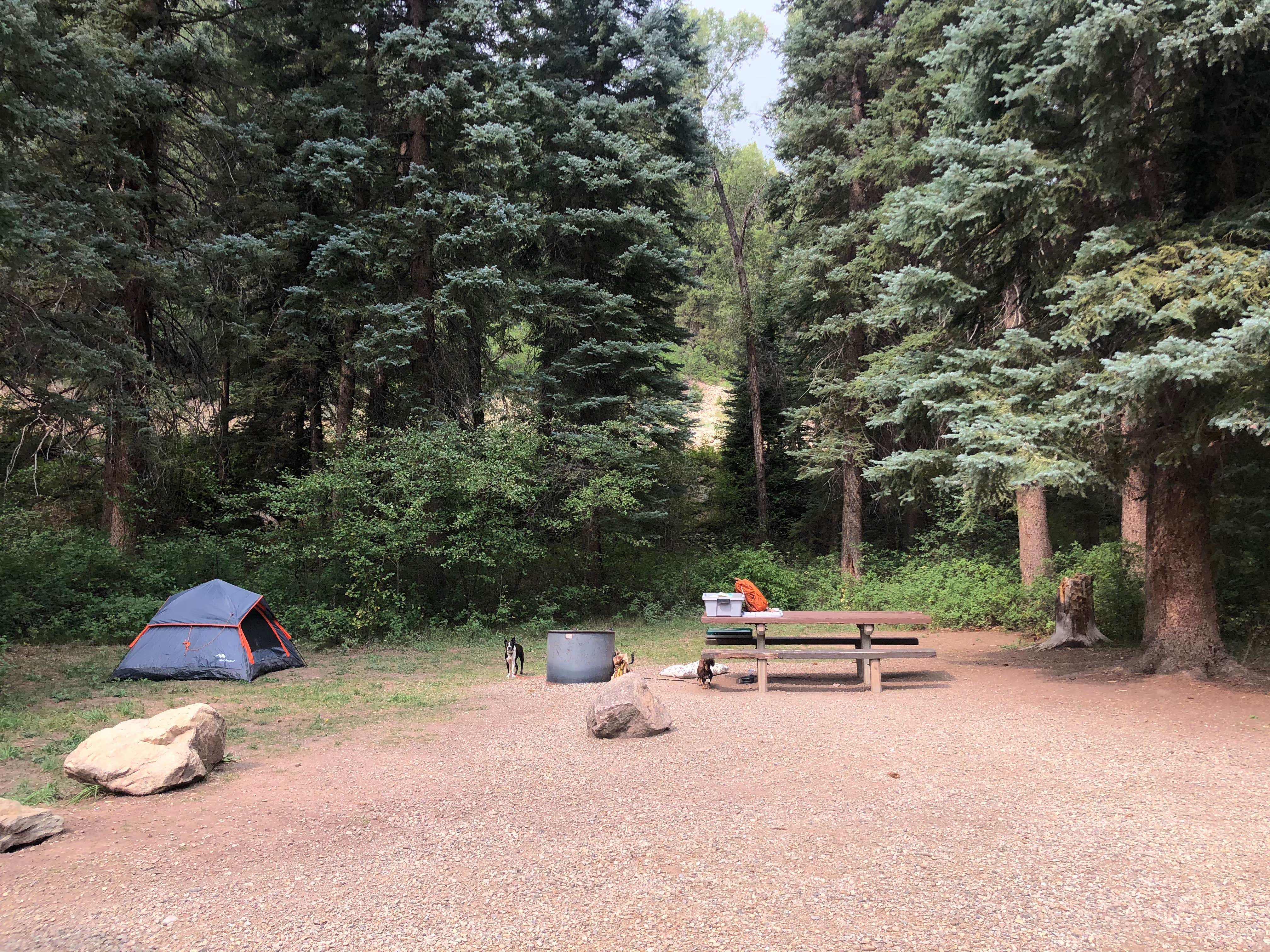Craig M.'s photo at Mavreeso Campground near Rico, CO