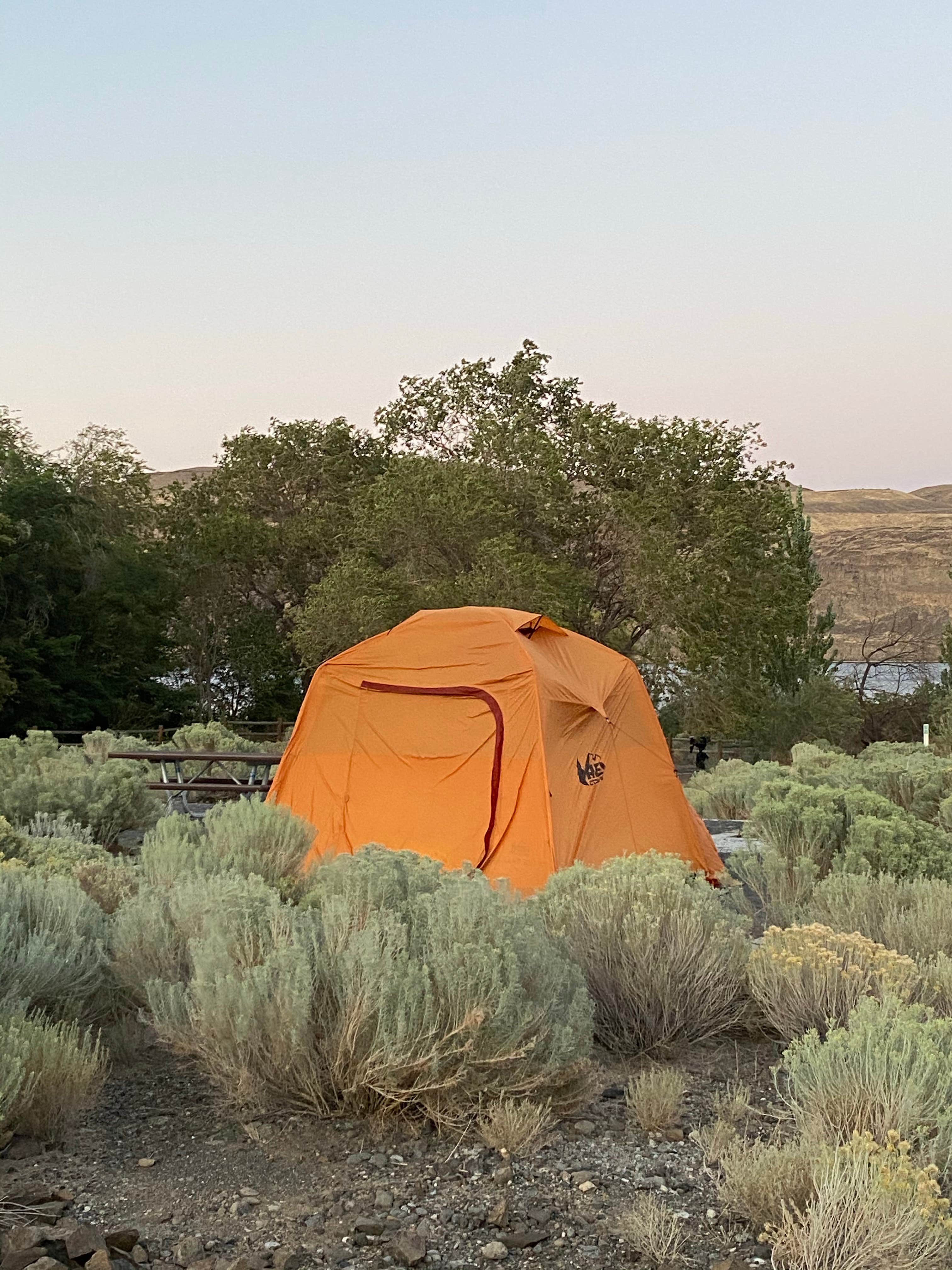 Chad L.'s photo of tent camping at Rocky Coulee Recreation Area near Warden, WA