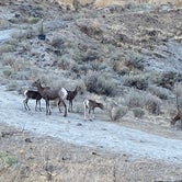 Review photo of Rocky Coulee Recreation Area by Chad L., August 26, 2020
